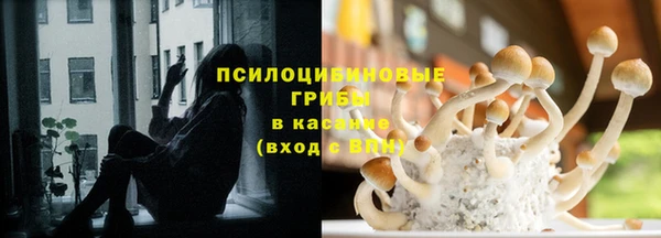 спайс Верея