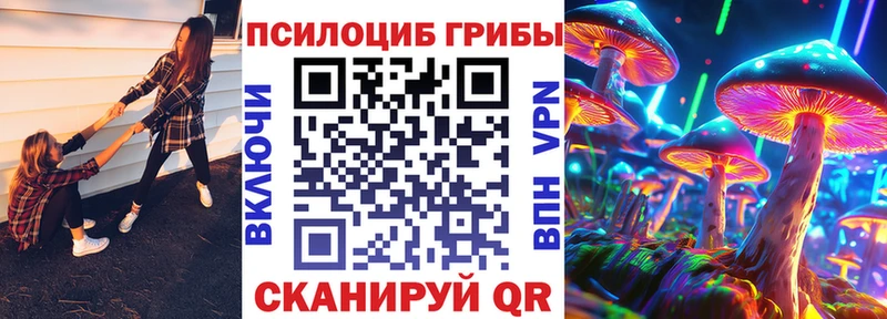 мега онион  Кимры  Псилоцибиновые грибы Psilocybe  где найти  